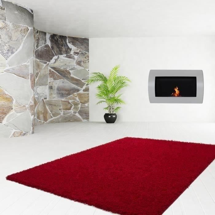 Tapis Shaggy TRENDY 160x230 30mm Rouge pour 41€