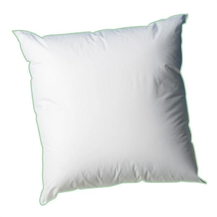 Oreiller Anti-taches 60x60cm pour 10€
