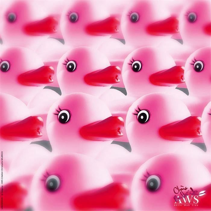 Tableau Toile DUCK ARMY PINK pour 18€