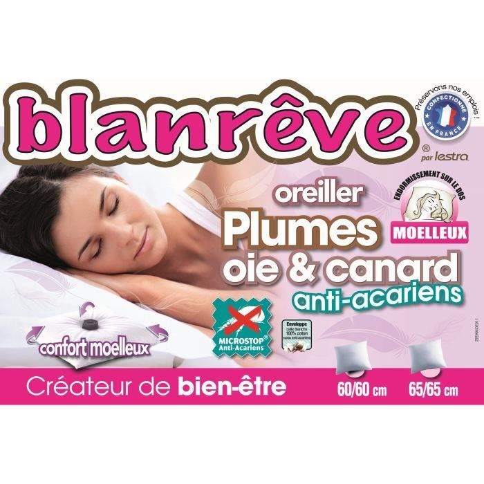 Oreiller Moelleux Anti-Acariens 65x65 pour 20€