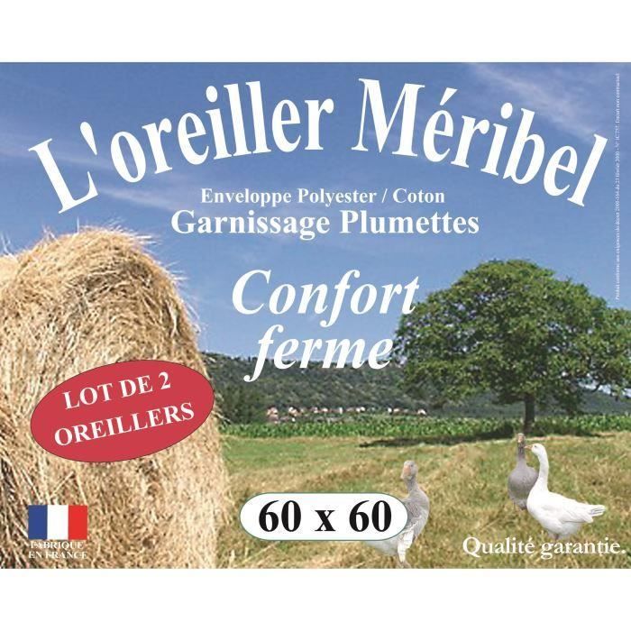 Lot de 2 Oreillers MERIBEL Plumettes 60x60cm pour 25€