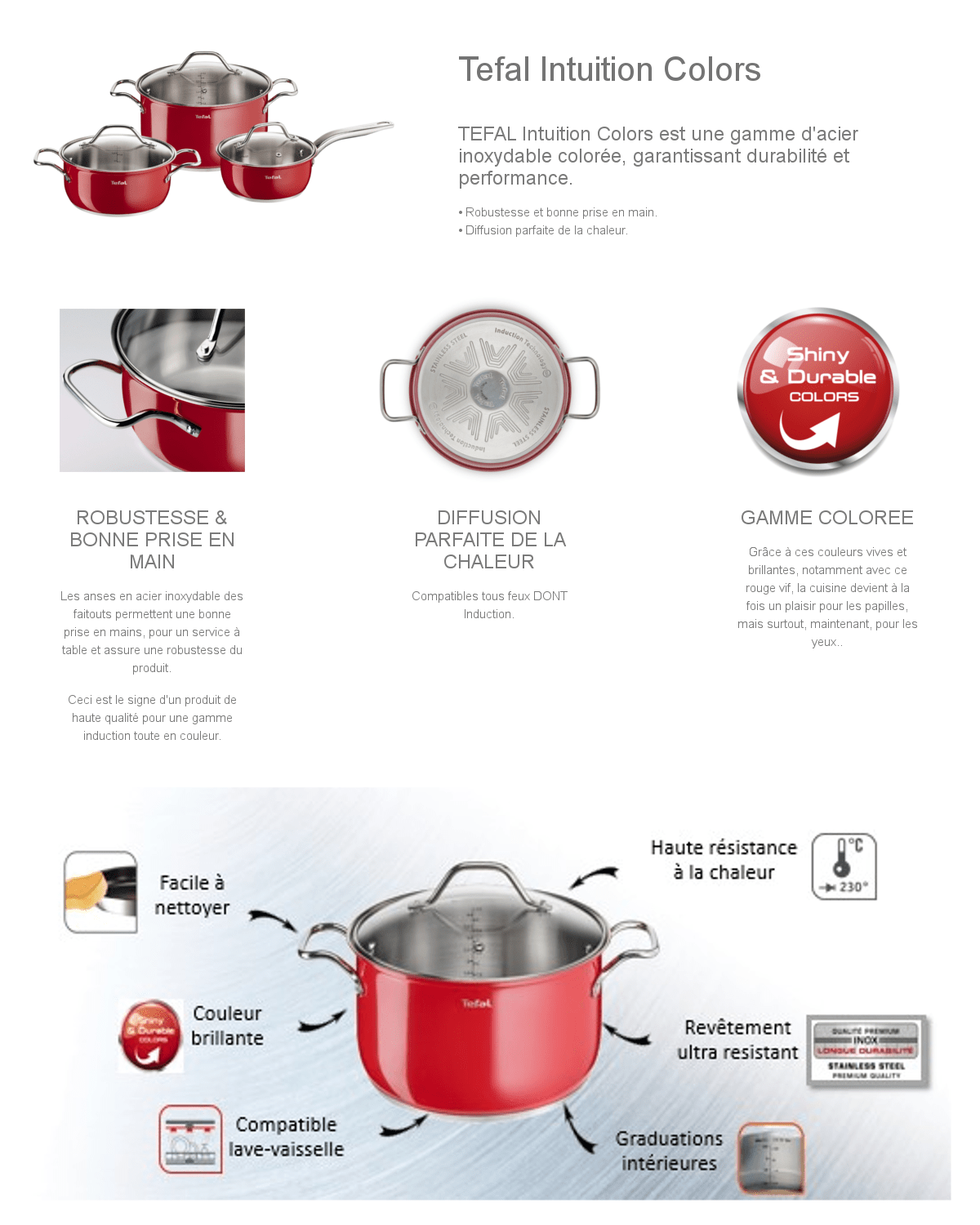 tefal inox intuition colors