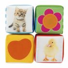  Set de Cube Animal