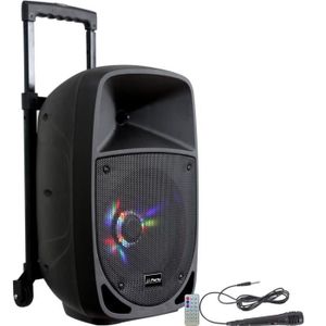PARTY LIGHT & SOUND PARTY-8LED Enceinte portable 8??/20cm - 300W avec USB/FM/Micro/Bluetooth