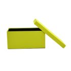 COFFRE - MALLE Coffre pouf pliant SUNNY 2 places vert