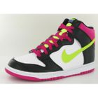  Dunk High