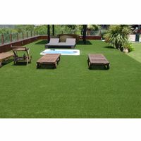  NATURE LUXE Gazon synthétique 2x5m
