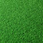 GAZON ARTIFICIEL GOLF PLUS Gazon synthétique 2x5m