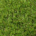 GAZON ARTIFICIEL NATURE Gazon synthétique 2x5m