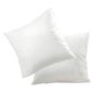  Lot 2 oreillers 60x60cm