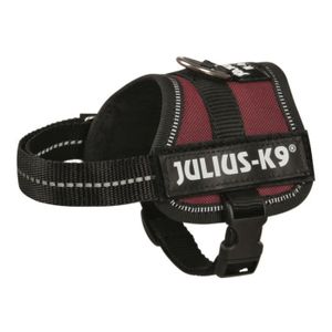 Harnais Power Julius-K9 - Baby 2 - XS-S : 33-45 cm-18 mm - Bordeaux - Pour chien