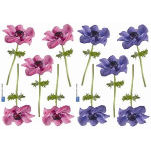 PLAGE Stickers adhésif mural Taille S - Anemones2 planches 29,7 x 21 cm, divers motifs