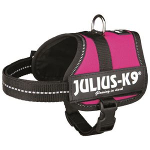 Harnais Power Julius-K9 - Baby 2 - XS-S : 33-45 cm-18 mm - Fuchsia - Pour chien