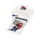 IMPRIMANTE - MULTIFONCTION Canon Selphy CP800 Blanche