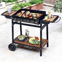 BARBECUE - PLANCHA MIMIZAN Plancha à gaz
