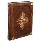 LOGICIEL CULTURE - LOISIR GUIDE COLLECTOR UNCHARTED 3: L'ILLUSION DE DRAKE