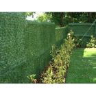 HAIE - TREILLE - ARCHE  Haie de verdure 200x300mm 195 Brins