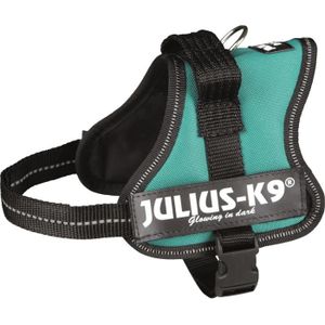 Harnais Power Julius-K9 - Mini-Mini - S : 40-53 cm-22 mm - Vert - Pour chien