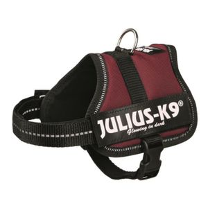 Harnais Power Julius-K9 - Mini-Mini - S : 40-53 cm-22 mm - Bordeaux - Pour chien