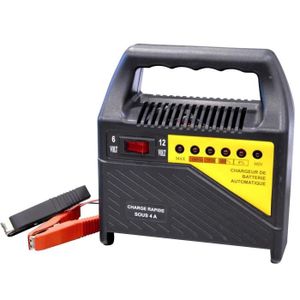 OTOKIT Chargeur de Batterie CB101 6/12V
