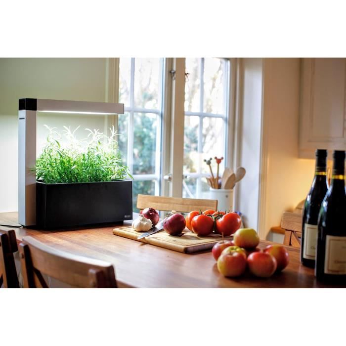 Potager d'intérieur herbie led noir, smart et design, pour faire ... Potager clôture désign