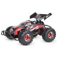 VEHICULE TERRESTRE  Buggy Pro Scorpion 1/10ème