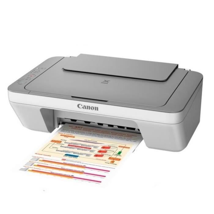MG2455 grise Imprimante multifonction Achat / Vente imprimante Canon