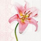 LINGE DE TABLE JETABLE Serviettes papier Lys rose