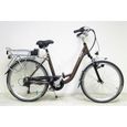 VELO ASSISTANCE ELEC  ROUTE 66 Vélo à Assistance Electrique Mixte