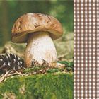  Serviettes Champignon