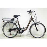  ROUTE 66 Vélo à Assistance Electrique Mixte