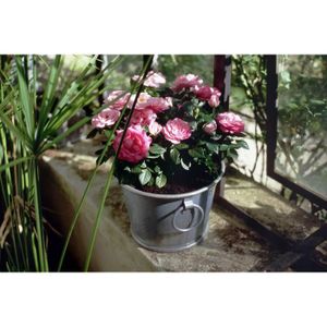 Bac ? plantes Zinc N°2 - 13 L