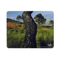 TAPIS DE SOURIS T'NB TAPIS SOURIS RECYCLE DESIGN ARBRE