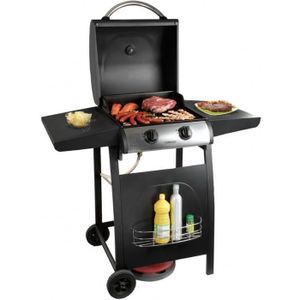 barbecue 2 bruleurs wagon