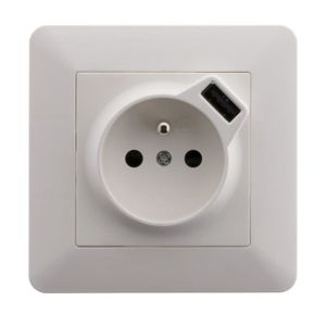 ARTEZO Prise avec terre 2P+T 16 A encastrable avec prise USB (2,4 A) blanc