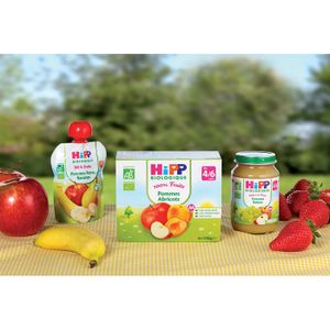 HIPP Gourdes bio Pommes Poires Bananes - 12 mois