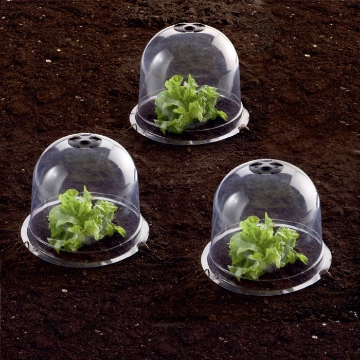 25 Cloches De Jardin TOYMIS - Protection Plantes Et Semis - PVC Transparent - 19x19x21cm - Réutilisable