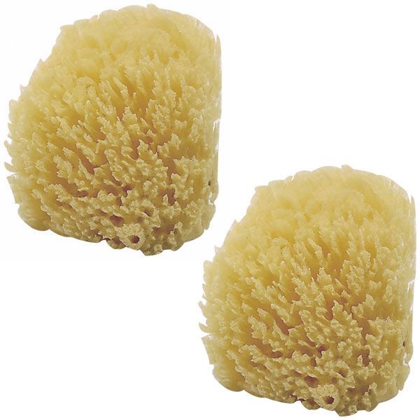 3 éponges Naturelles Rayher - Pores Fins Et Grossiers - Pour Peinture Effets Spéciaux Ou Nettoyage - 6-7.5cm