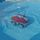 ROBOT DE NETTOYAGE  Robot Electrique WaterClean Sol