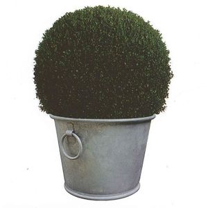 Bac ? plantes Zinc N°3 - 28 L