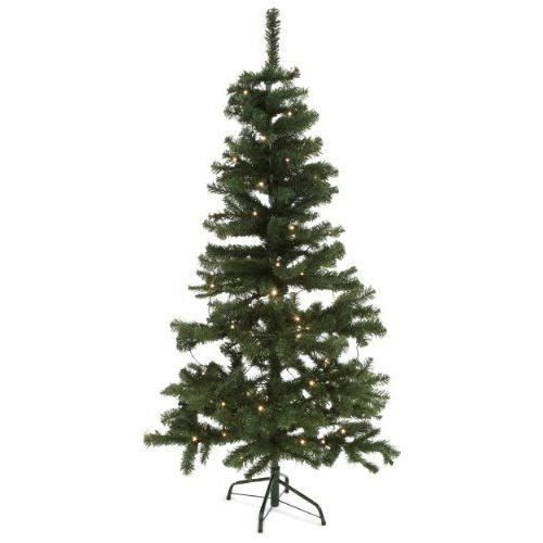 image sapin de no 195 171 l image sapin de no 195 171 l