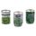 GRAINE - SEMENCE Canette plante aromatique pret a pousser