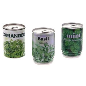 GRAINE - SEMENCE Canette plante aromatique pret a pousser