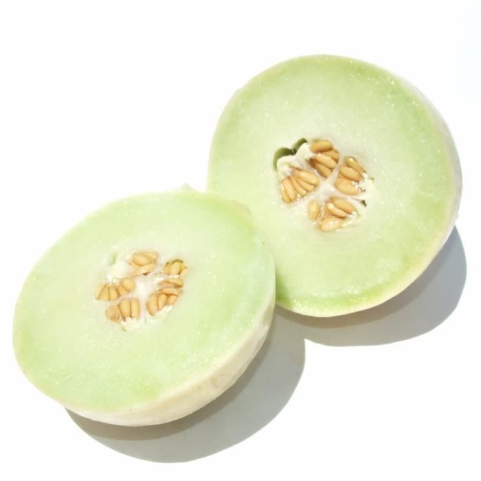 10 graines de melon Honeydew ou melon miel Achat / Vente graine