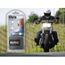 Bouchons d'oreille Alpine MOTOSAFE