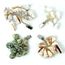 POIDS DE NAPPE Fixe nappe bouquet de coquillage…