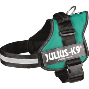 Harnais Power Julius-K9 - 1 - L : 66-85 cm-50 mm - Vert - Pour chien