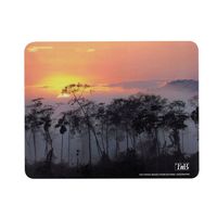TAPIS DE SOURIS T'NB TAPIS SOURIS RECYCLE DESIGN FORET