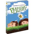 DVD SERIE TV DVD Pushing Daisies, saison 1