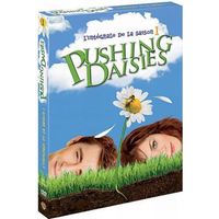 DVD SERIE TV DVD Pushing Daisies, saison 1
